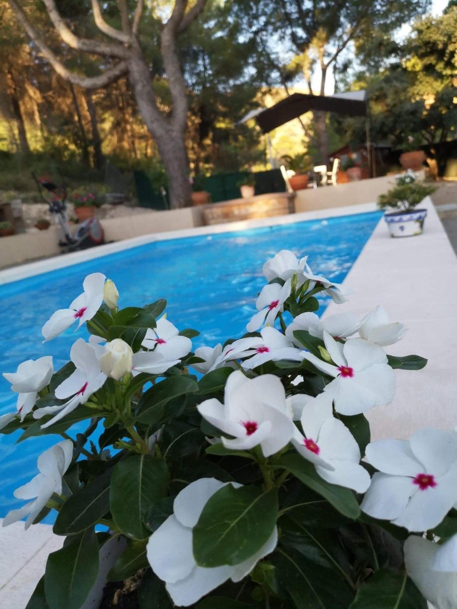 לינה וארוחת בוקר אונטיניינט Casa Jetizo מראה חיצוני תמונה
