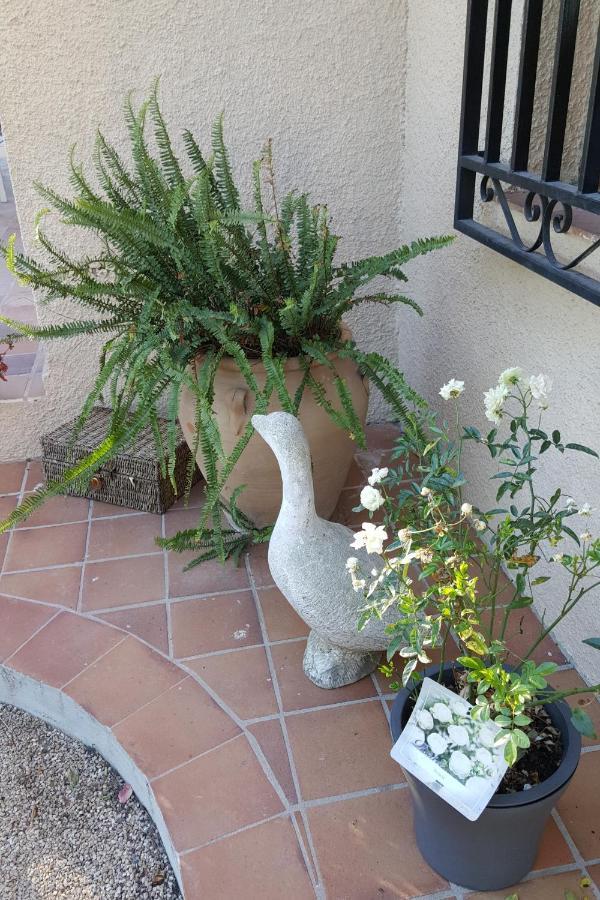 לינה וארוחת בוקר אונטיניינט Casa Jetizo מראה חיצוני תמונה